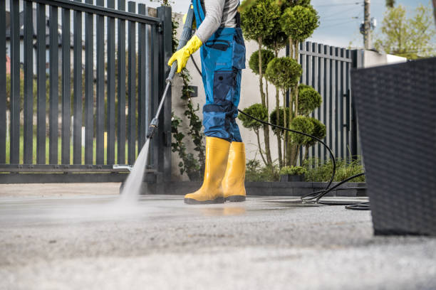 Best Driveway Cleaning and Restoration in Reidland, KY