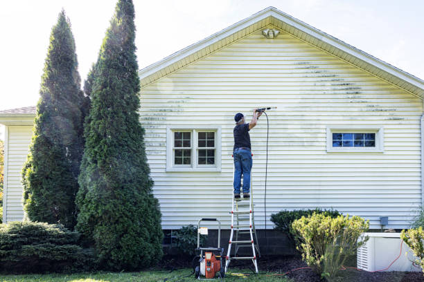 Best Soft Washing for Delicate Surfaces in Reidland, KY